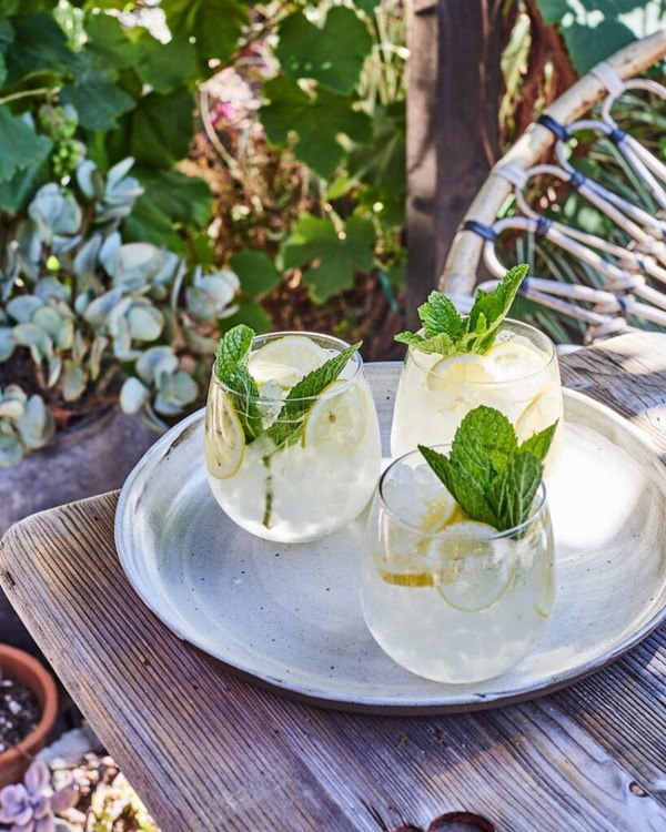 White wine spritzer