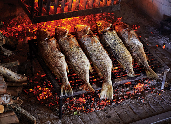 Whole grilled sea bass