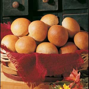 Whole wheat dinner rolls