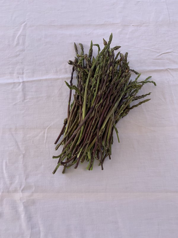 Wild asparagus risotto