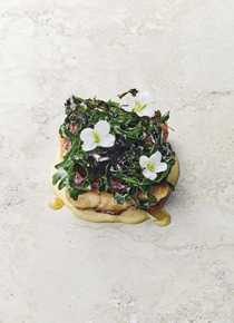 From The Earth World S Great Rare And Almost Forgotten Vegetables Eat Your Books