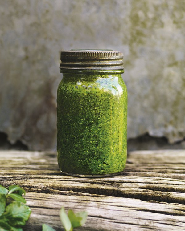 Wild garlic pesto