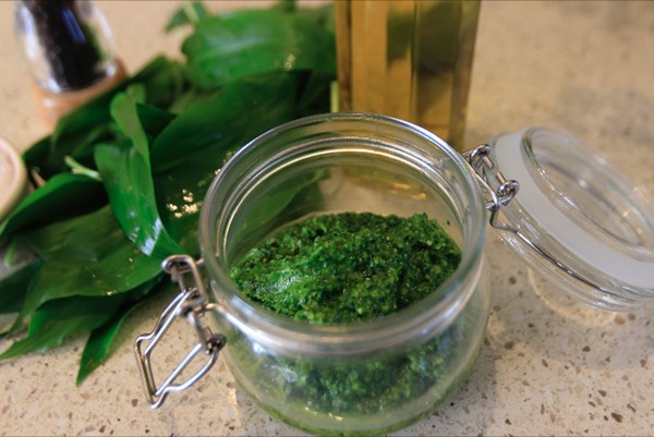 Wild garlic pesto