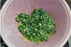 Wild garlic pesto