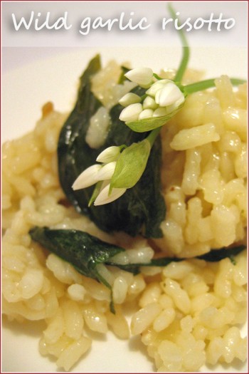 Wild garlic risotto