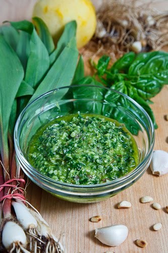 Wild leek (aka ramp) pesto