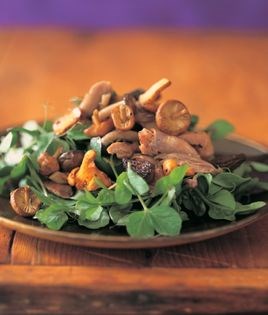 Wild mushroom and duck confit salad
