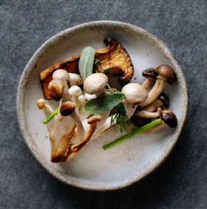 Wild mushroom and goat cheese quiche with spring salad