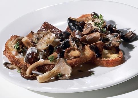 Wild mushroom crostini