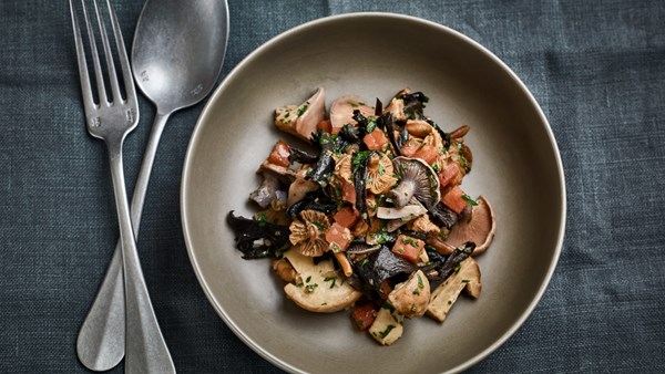 Wild mushroom fricassée (Fricassée de champignons sauvages)