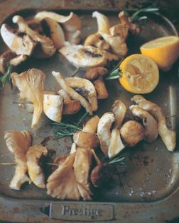 Wild mushroom kibbeh