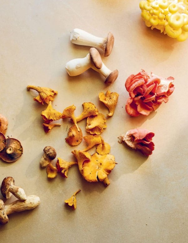 Wild mushroom paella (Arroz de setas)