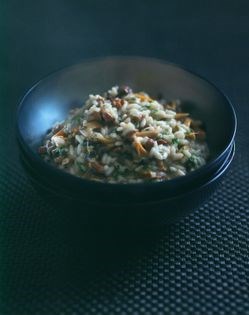 Wild mushroom risotto