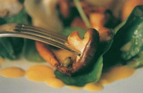 Wild mushroom salad with two vinaigrettes