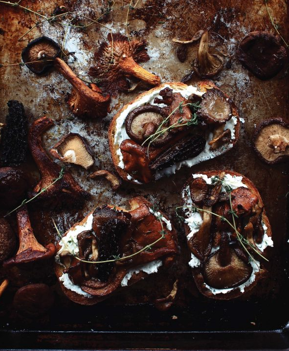 Wild mushroom toasts with goat cheese & black garlic vinaigrette