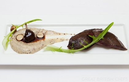 Wild pigeon and Jerusalem artichoke