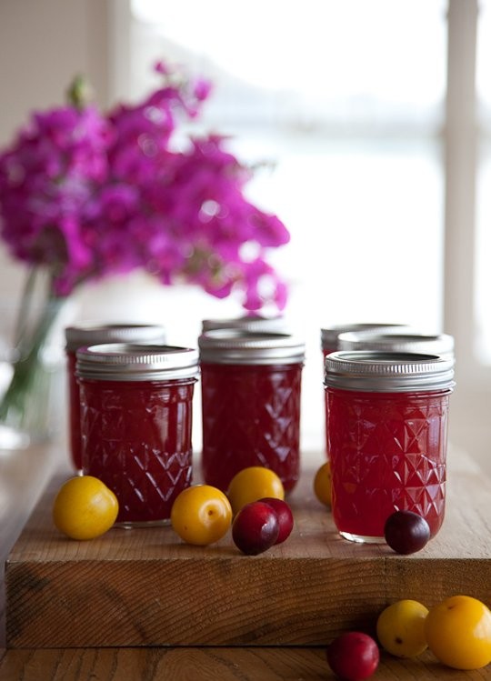 Wild plum jam