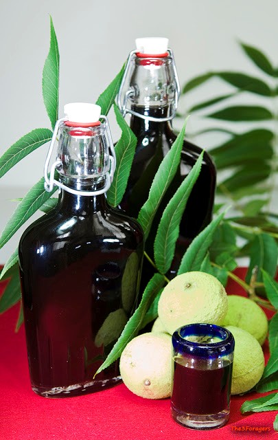 Wild spiced black walnut nocino