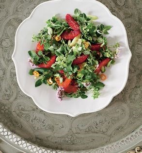 Wild thyme and blood orange salad (Zahtersalatasi)