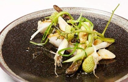 Wild turbot, burnt white asparagus and berries