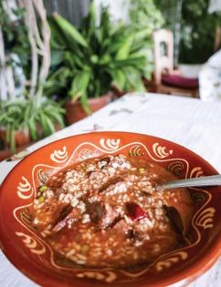 Wild venison in sherry sauce with rice (Venado en salsa con arroz)