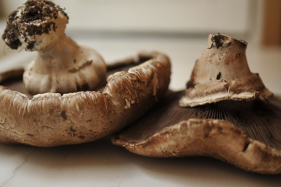 Will's mushrooms