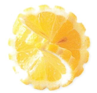 Winged lemon