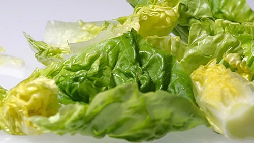Winter green salad with Timmy's dressing