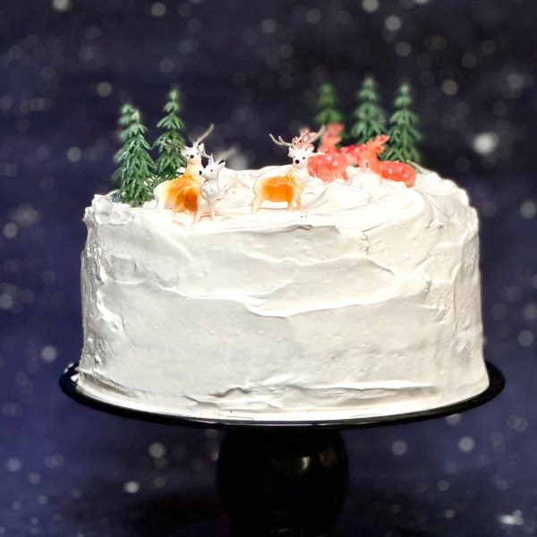 Winter wonderland cake