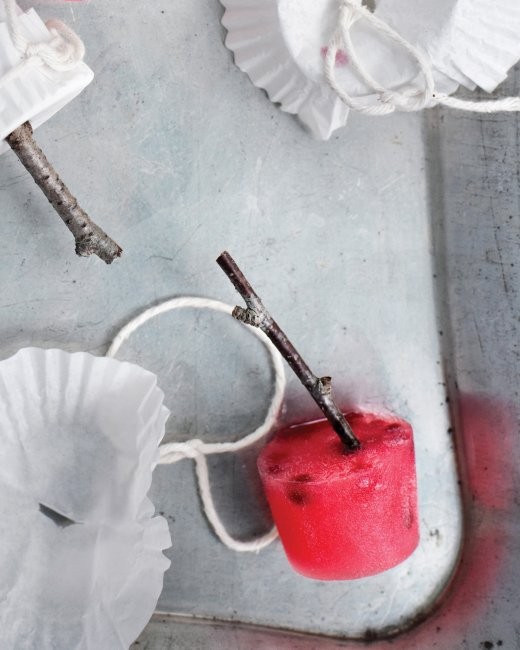 Wintergreen and cranberry ice pops