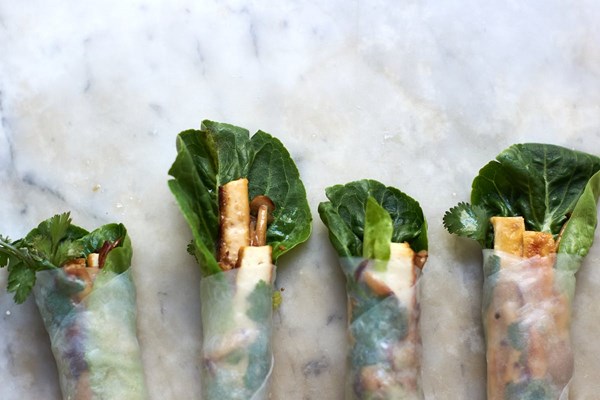 Wintery spring rolls