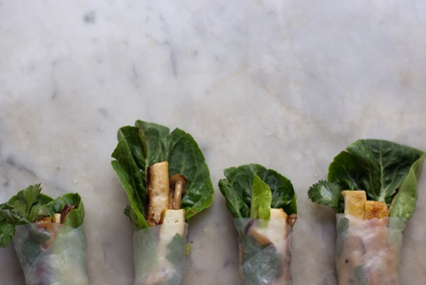 Wintery spring rolls