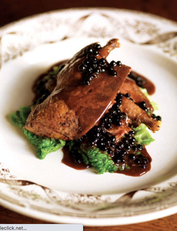 Wood pigeon with blaeberries