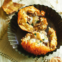Woodland arancini
