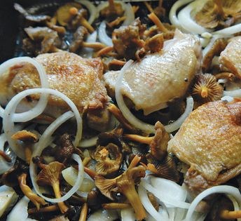 Yellow leg chanterelles and chicken