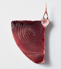 Yellowfin tuna rib eye
