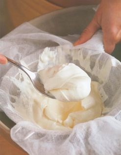 Yoghurt