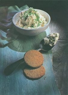 Yoghurt curd cheese