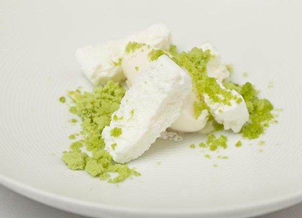 Yoghurt, pine and herbs granita