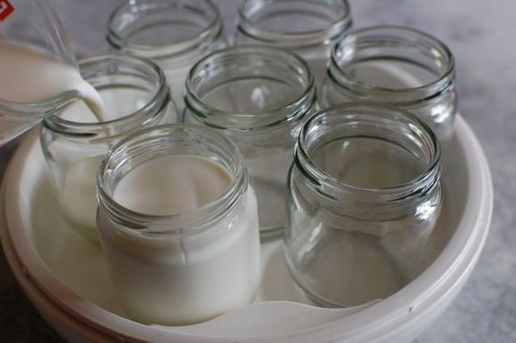 Yogurt at home