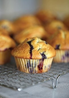 Yogurt blueberry muffins