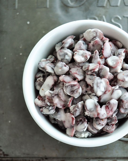 Yogurt-covered cranberries