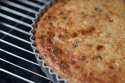 Yorkshire curd tart