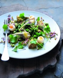 Young artichoke, spinach and soft quail's egg salad