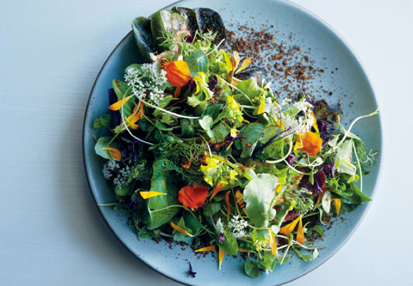 Young lettuces with herbed avocado