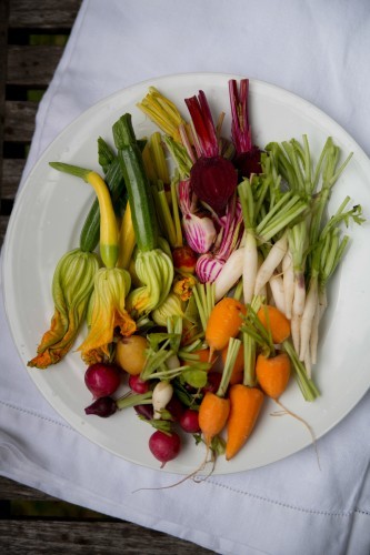 Young vegetables in tempura