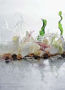 Yuzu with white chocolate and elderflower, salt milk ice cream, and crystallised seaweeds