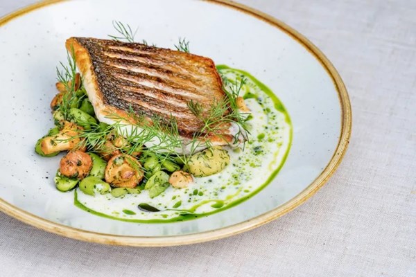 Zander, broad beans, chanterelles, smoked buttermilk broth, dill