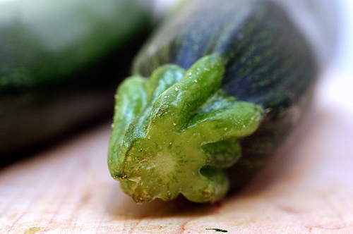 Zucchini bread