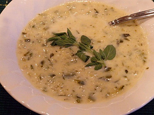 Zucchini-fresh oregano soup